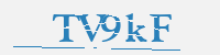 보안문자
